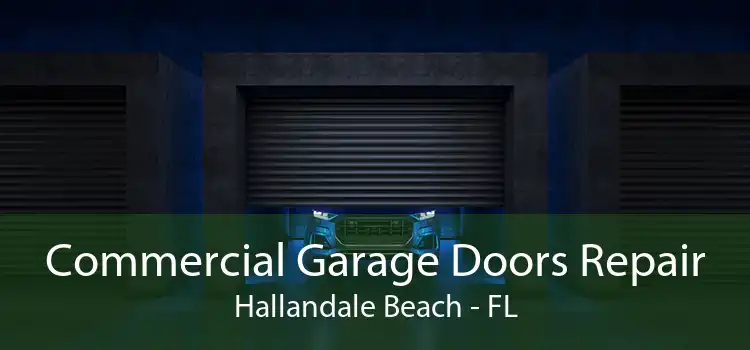 Commercial Garage Doors Repair Hallandale Beach - FL