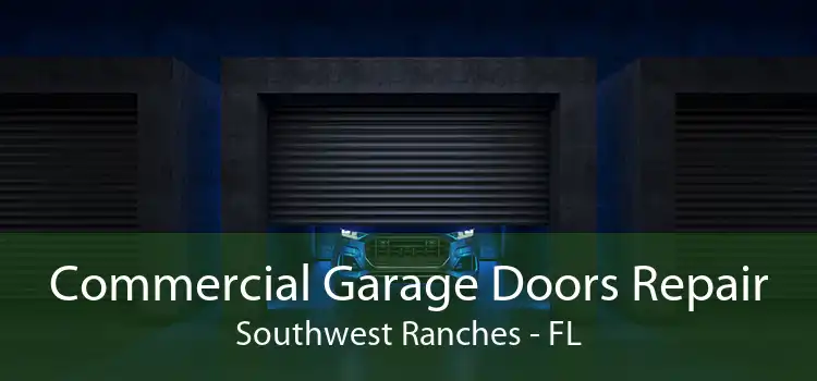 Commercial Garage Doors Repair Southwest Ranches - FL