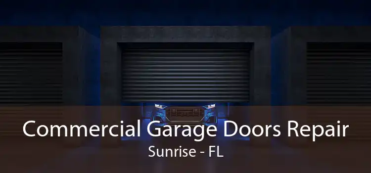 Commercial Garage Doors Repair Sunrise - FL
