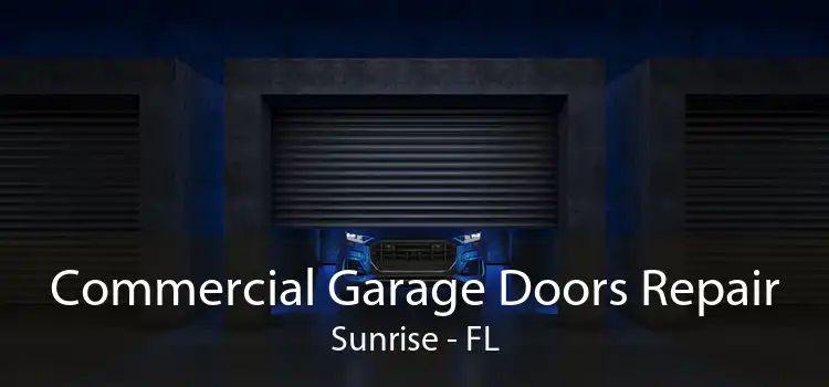 Commercial Garage Doors Repair Sunrise - FL