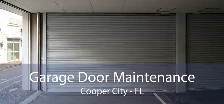 Garage Door Maintenance Cooper City - FL