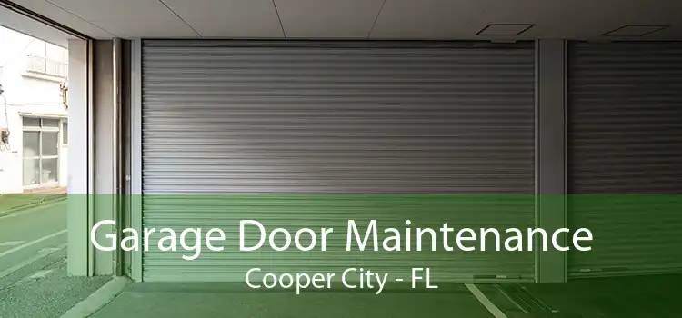 Garage Door Maintenance Cooper City - FL