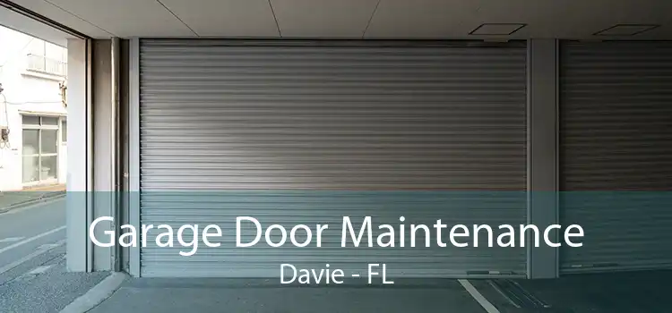 Garage Door Maintenance Davie - FL