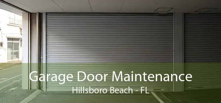 Garage Door Maintenance Hillsboro Beach - FL