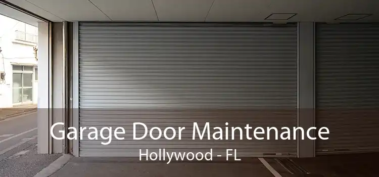 Garage Door Maintenance Hollywood - FL