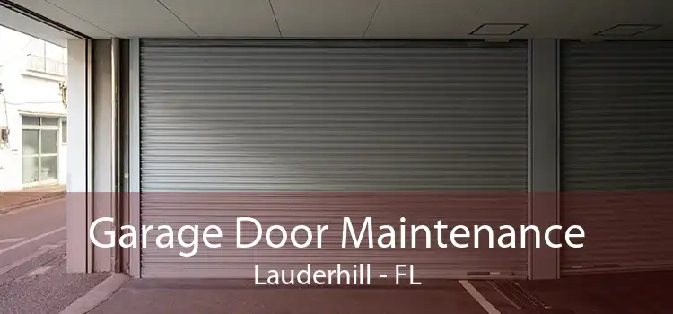 Garage Door Maintenance Lauderhill - FL