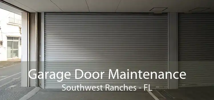 Garage Door Maintenance Southwest Ranches - FL