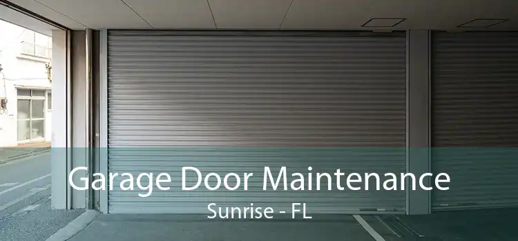 Garage Door Maintenance Sunrise - FL