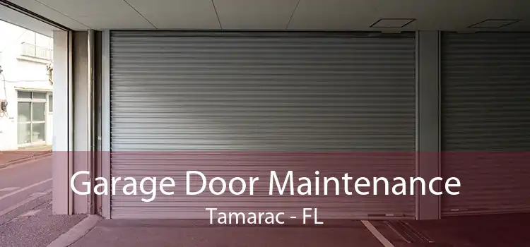 Garage Door Maintenance Tamarac - FL