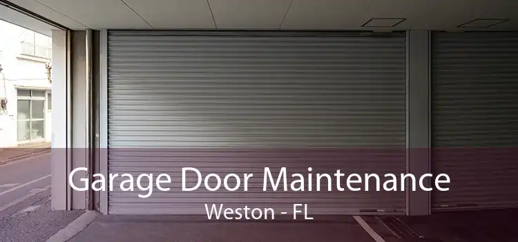 Garage Door Maintenance Weston - FL