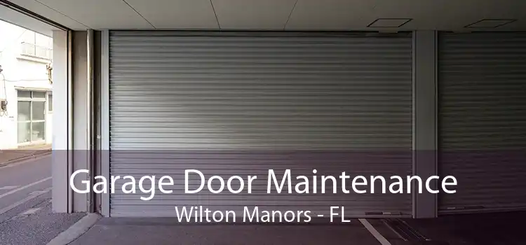 Garage Door Maintenance Wilton Manors - FL