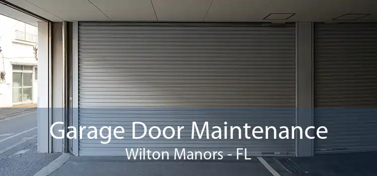 Garage Door Maintenance Wilton Manors - FL