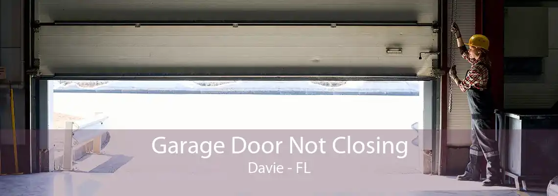 Garage Door Not Closing Davie - FL