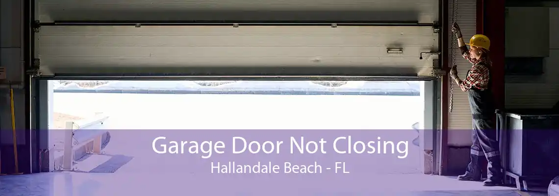 Garage Door Not Closing Hallandale Beach - FL