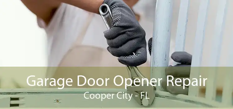 Garage Door Opener Repair Cooper City - FL