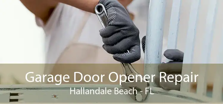 Garage Door Opener Repair Hallandale Beach - FL