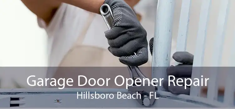 Garage Door Opener Repair Hillsboro Beach - FL