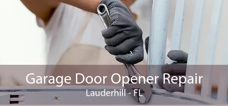 Garage Door Opener Repair Lauderhill - FL