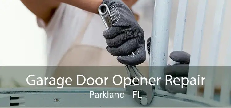 Garage Door Opener Repair Parkland - FL