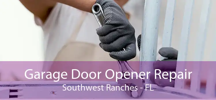 Garage Door Opener Repair Southwest Ranches - FL