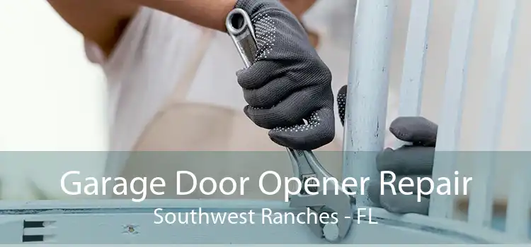 Garage Door Opener Repair Southwest Ranches - FL