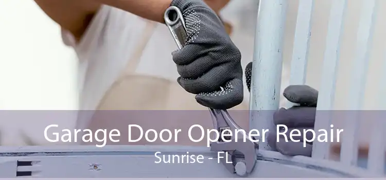 Garage Door Opener Repair Sunrise - FL