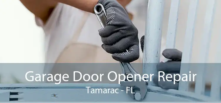 Garage Door Opener Repair Tamarac - FL