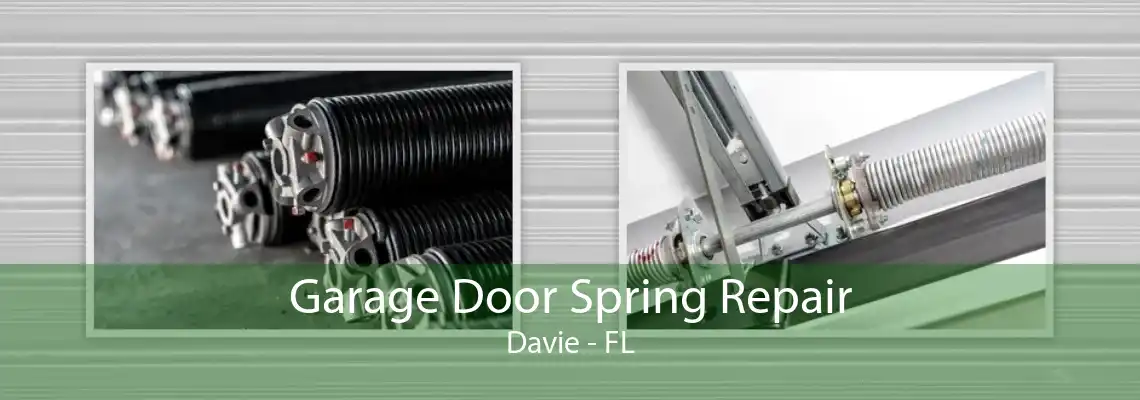Garage Door Spring Repair Davie - FL