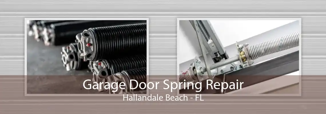 Garage Door Spring Repair Hallandale Beach - FL