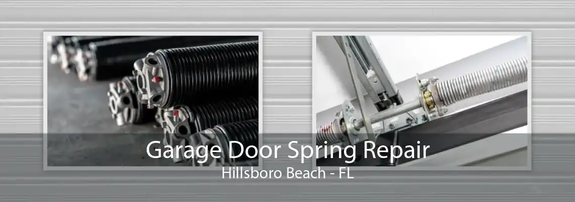 Garage Door Spring Repair Hillsboro Beach - FL