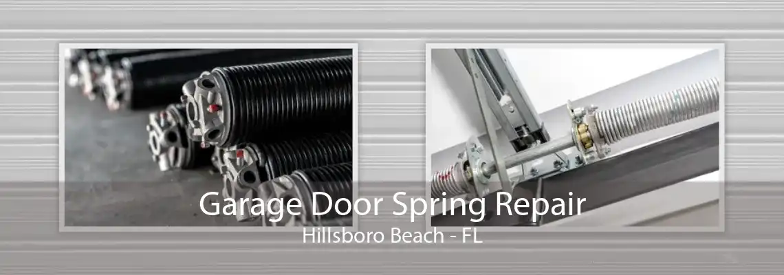 Garage Door Spring Repair Hillsboro Beach - FL