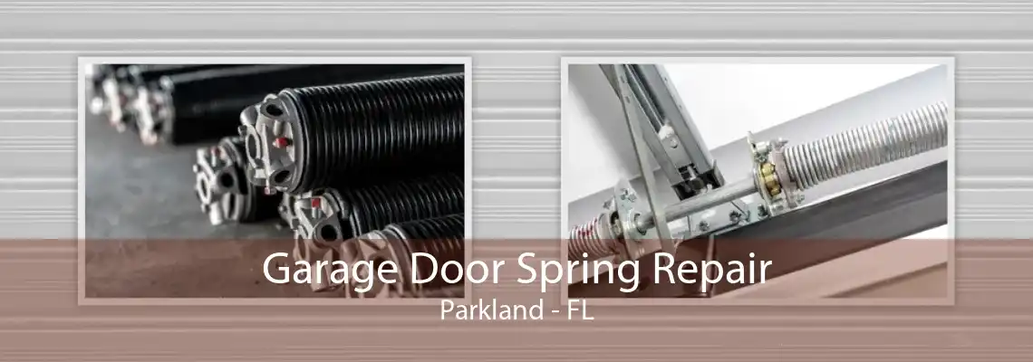 Garage Door Spring Repair Parkland - FL