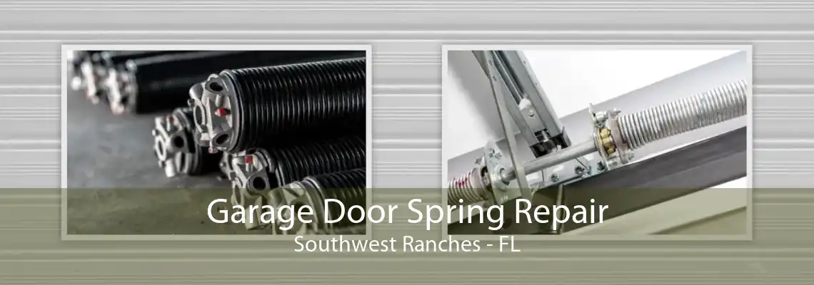 Garage Door Spring Repair Southwest Ranches - FL