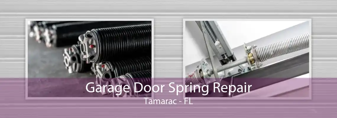 Garage Door Spring Repair Tamarac - FL