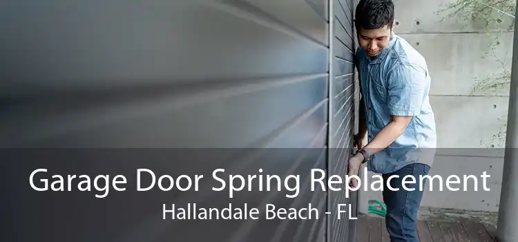 Garage Door Spring Replacement Hallandale Beach - FL