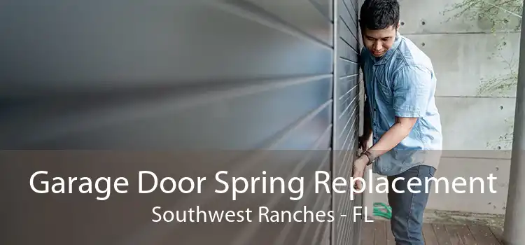 Garage Door Spring Replacement Southwest Ranches - FL