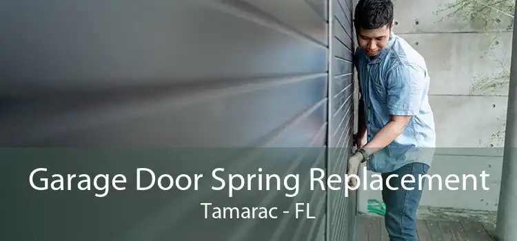 Garage Door Spring Replacement Tamarac - FL