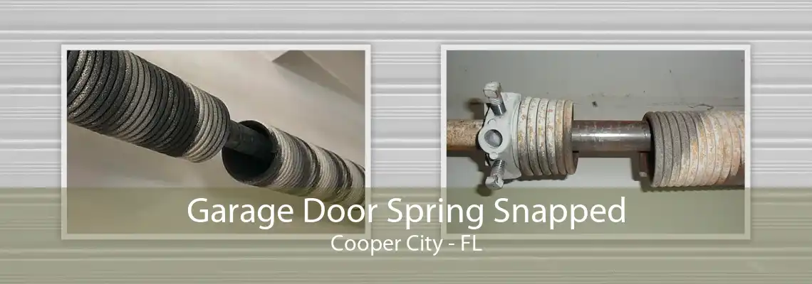Garage Door Spring Snapped Cooper City - FL