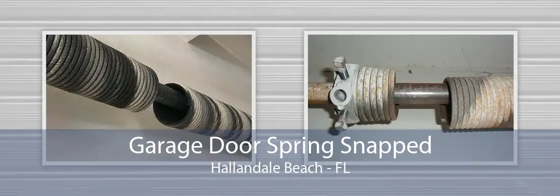 Garage Door Spring Snapped Hallandale Beach - FL