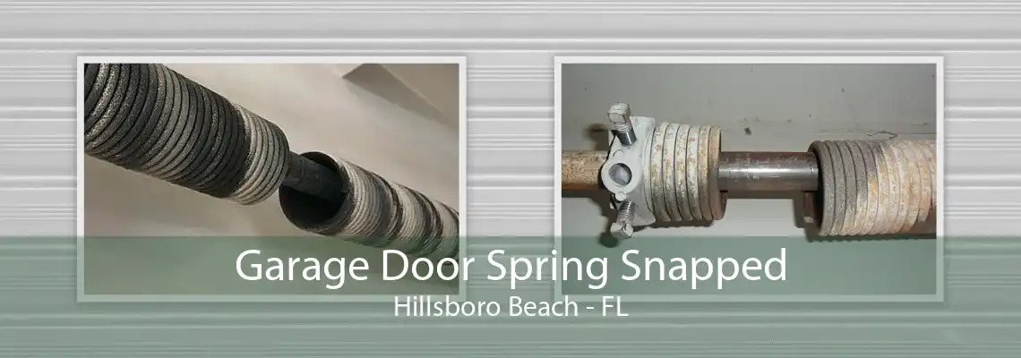 Garage Door Spring Snapped Hillsboro Beach - FL