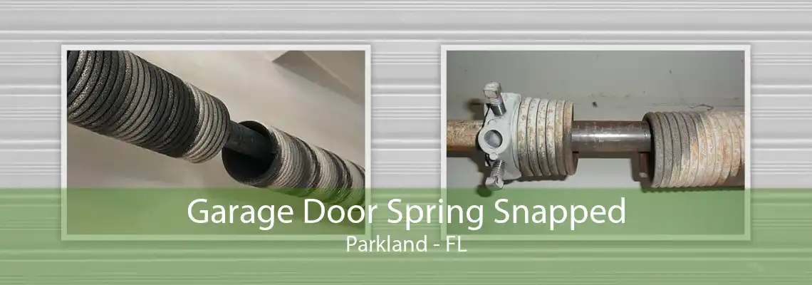 Garage Door Spring Snapped Parkland - FL