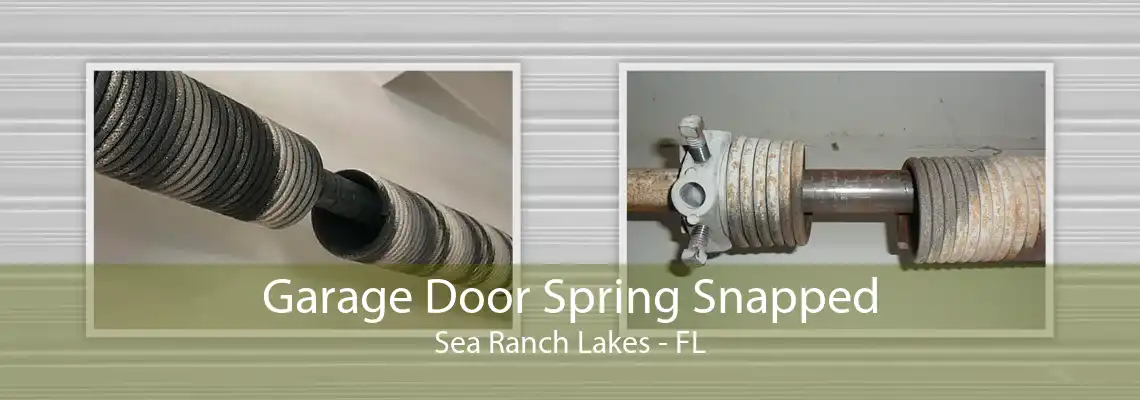 Garage Door Spring Snapped Sea Ranch Lakes - FL