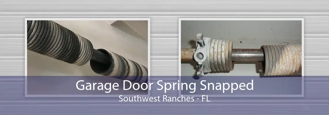 Garage Door Spring Snapped Southwest Ranches - FL