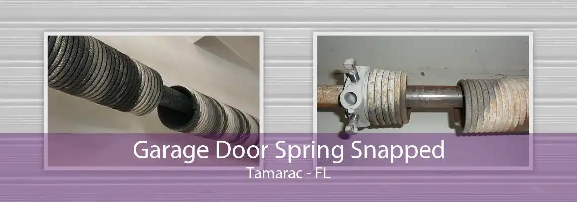 Garage Door Spring Snapped Tamarac - FL