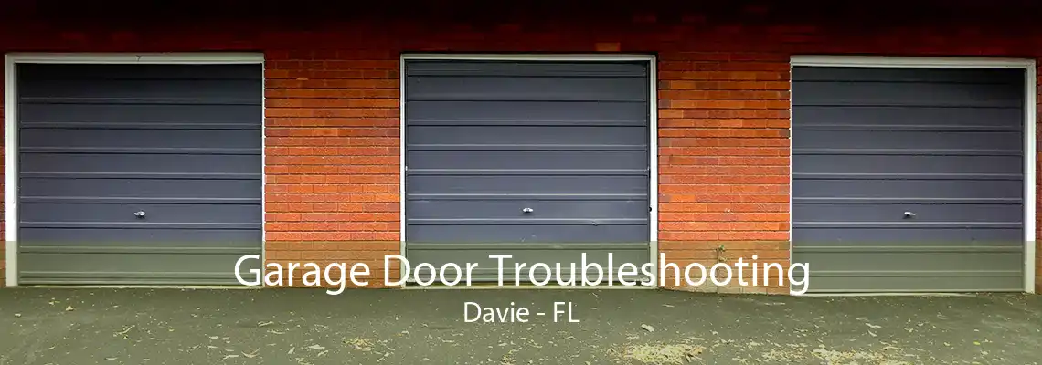 Garage Door Troubleshooting Davie - FL