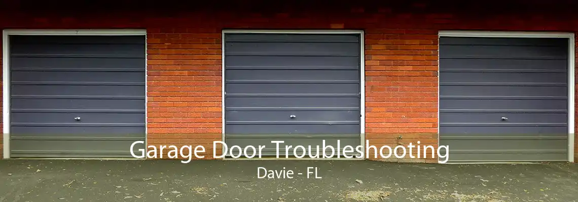 Garage Door Troubleshooting Davie - FL