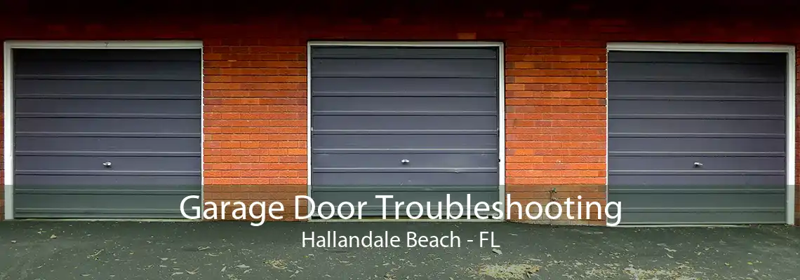 Garage Door Troubleshooting Hallandale Beach - FL