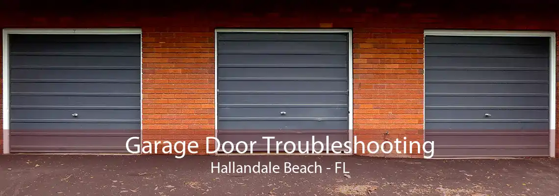 Garage Door Troubleshooting Hallandale Beach - FL