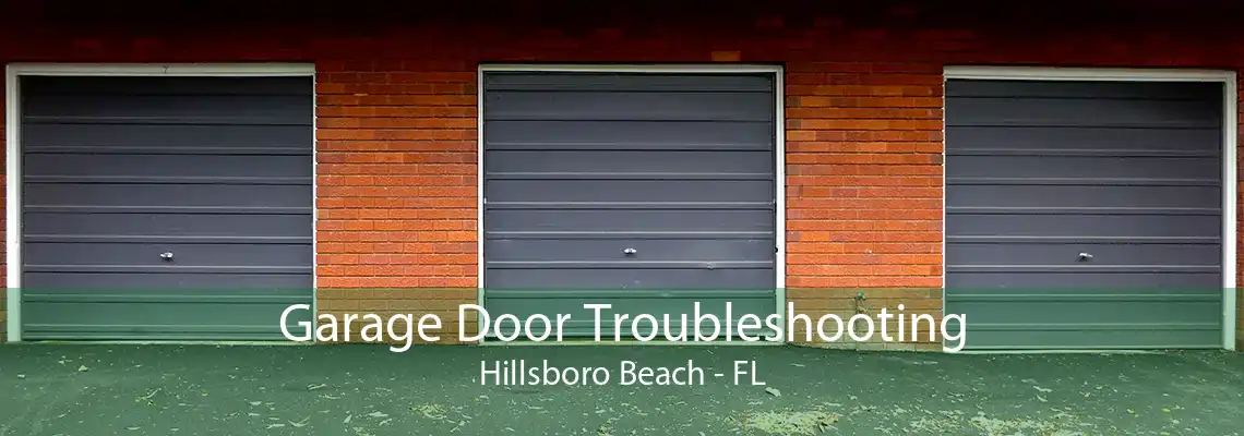 Garage Door Troubleshooting Hillsboro Beach - FL