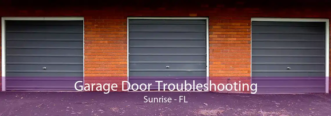 Garage Door Troubleshooting Sunrise - FL